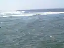 portugese sea