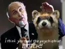 Angry at Rudy - Ferret 