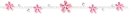 pink flower