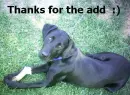 thanks for the add