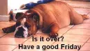 friday