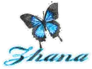 Zhana Blue Butterfly