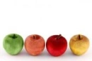 apples