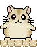hamster