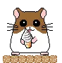 hamster