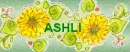 Ashli