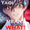 YAOI MEAN WHAT O_o