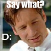 Say what? 