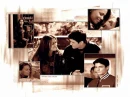 One Tree Hill