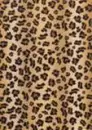 leopard skin