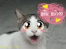 Abbeaw
