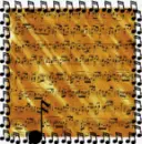 music notes