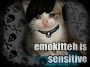 emo kitty cat