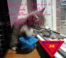 Super Kitty!