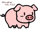 Mr.pig