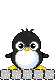 baby penguin blox