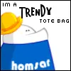 I'm a trendy tote bag