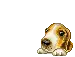 doggy  blox