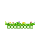 blooming flower blox