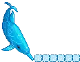 blue dolphin 