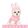 doggy