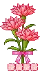 carnations