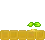 growing flower 