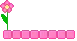 pink flower
