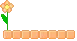 orange flower
