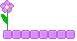 purple flower