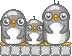 penguin family