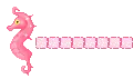 pink seahorse