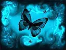 Blue butterfly