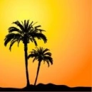 beautiful mirage