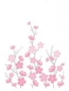 pink flowers