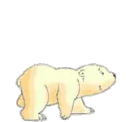 cute little polar bear