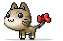 my ms kitty