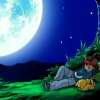 Poke moon