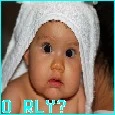 O RLY?