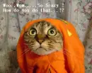 So Scary