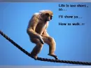 This's a Life