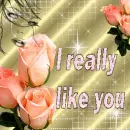 really like you
