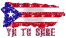 Puerto Rican Flag