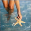 starfish