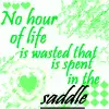 Horse Love 