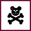 teddy skull