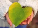 CorazÃ³n hoja
