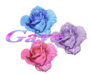 Gaye