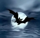 bat