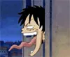 Wtf Luffy!